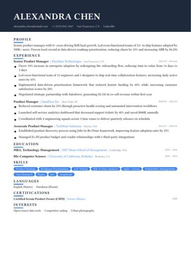 Bold resume template preview