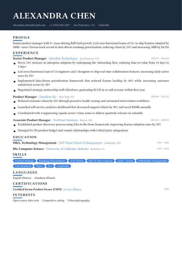 Bold resume template preview