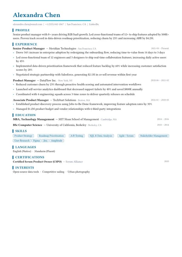 Corporate CV template preview