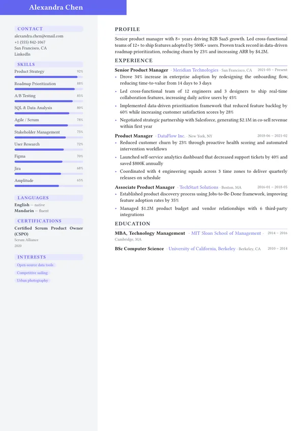 Designer CV template preview