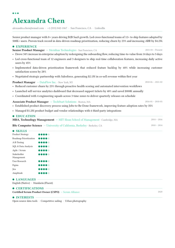 Dots CV template preview