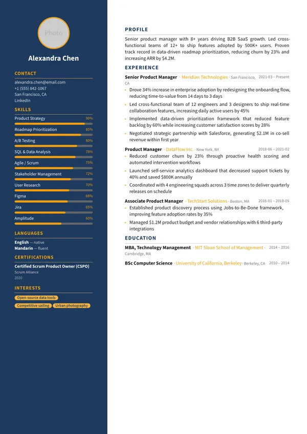 Infographic CV template preview