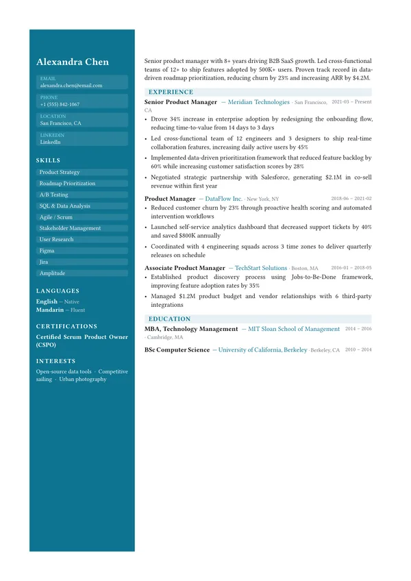 Metro resume template preview