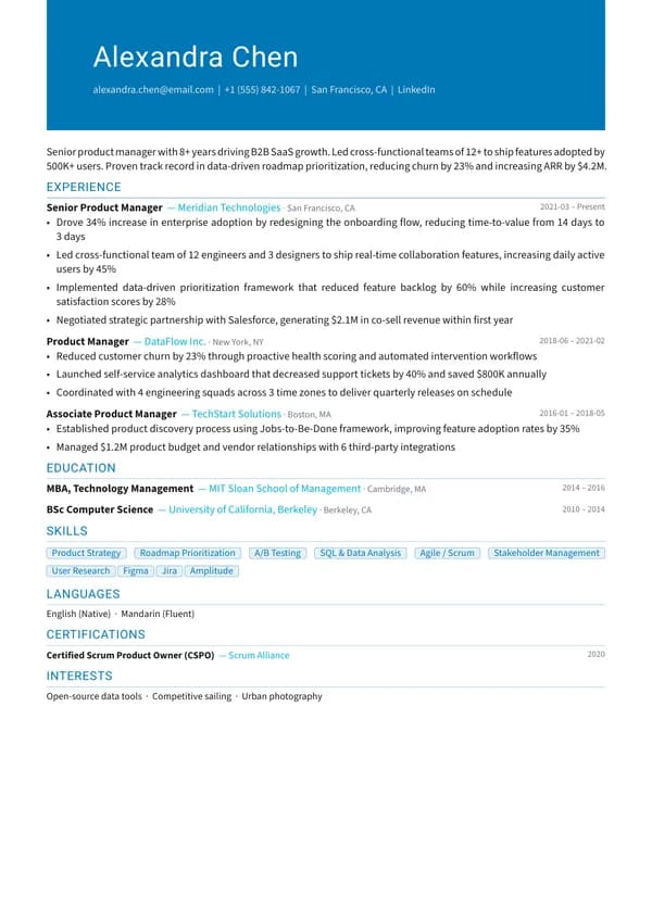 Moderner CV template preview