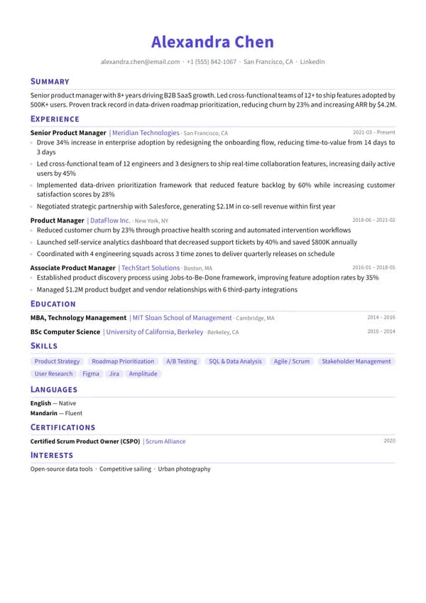 Professional resume template preview