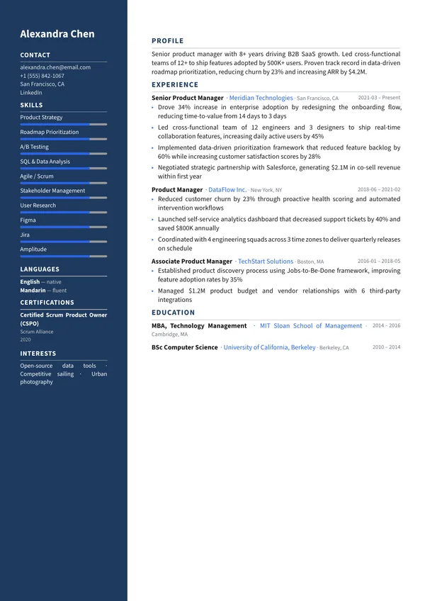 Sidebar CV template preview