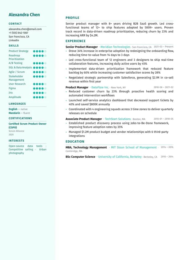 Visual CV template preview