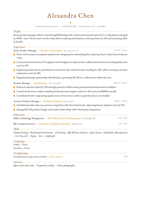 Elegant resume template preview